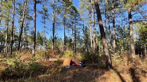 Dispersed camping in Talladega NF : r/motocamping