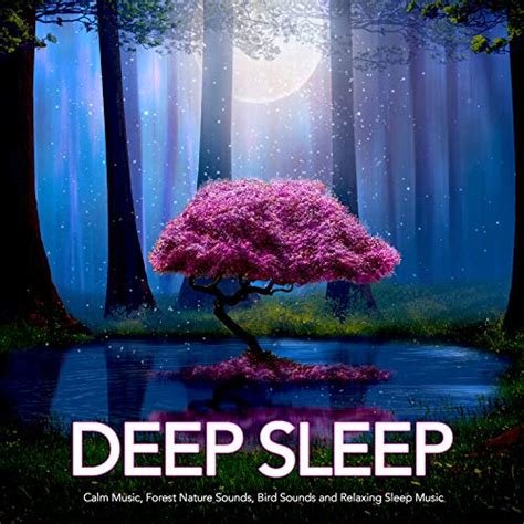 Amazon.com: Deep Sleep: Calm Music, Forest Nature Sounds, Bird Sounds ...