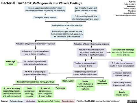 Bacterial Tracheitis | Calgary Guide