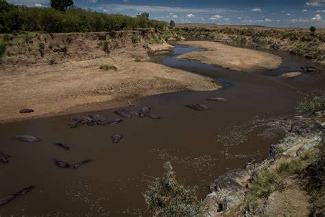 Masai Mara National Park Part 2 | The Road Chose Me