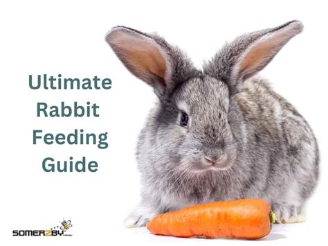 Ultimate Rabbit Feeding Guide: Nutrition & Diet Tips