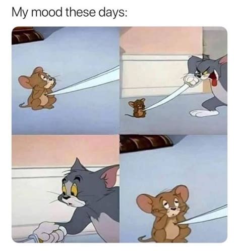 50+ Funny Tom And Jerry Memes To Keep You Laughing