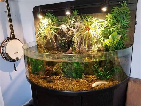 NOT MINE, but a friend! Check out his axolotl! - Aquariums | Amazing aquariums, Axolotl pet ...