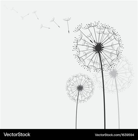 Dandelion Royalty Free Vector Image - VectorStock