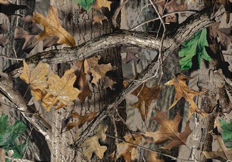 Update 65+ camo realtree wallpaper latest - in.cdgdbentre