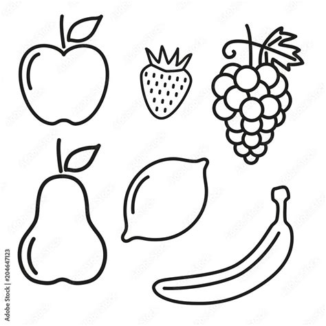 Set of fruit outlines. Apple, pear, strawberry, grapes, lemon, banana Stock Vector | Adobe Stock