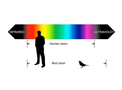 Spectacular Color Vision | FOS Media Students' Blog