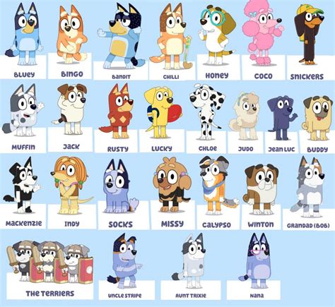 0 Result Images of Bluey Characters Names And Dog Breeds - PNG Image Collection