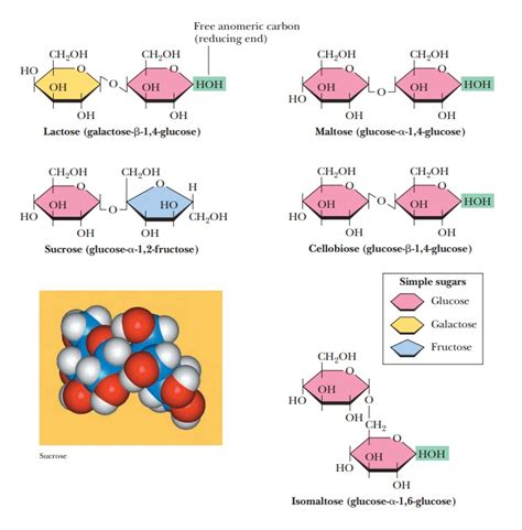 Oligosaccharides