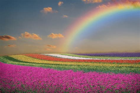 What does a rainbow symbolize in the Bible? - Christian Faith Guide