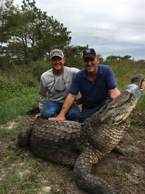 Cheap Alligator Hunts in Florida » Outdoors International