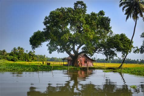 Le Kerala, un paradis tropical en Inde - Supplément de Style