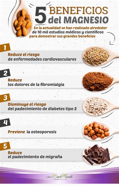 10 Alimentos Ricos En Magnesio Y Sus Beneficios | Dra. Cocó | Alimentos ricos en magnesio ...