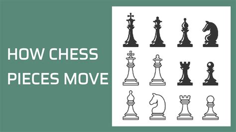 Chess Piece Moves : know how to move the 5 piece in the great chess