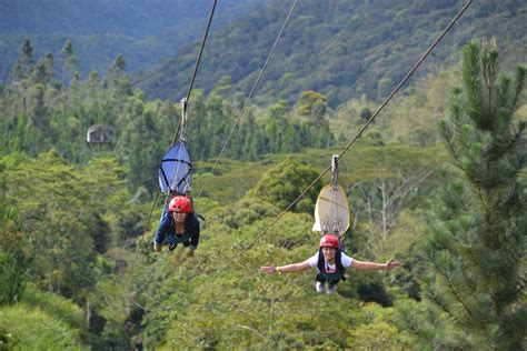 Maria Marauder: Thanks CE '87! Day 3: Dahilayan Forest Park/Zipline