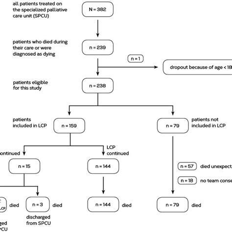 Flow chart of the cohort study design | Download Scientific Diagram