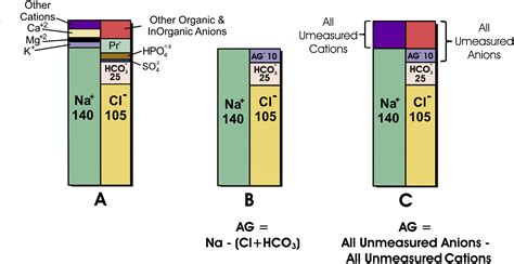 ELI 5 Anion gap : r/JuniorDoctorsUK