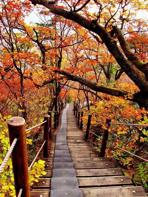 Autumn in South Korea | Scenery, National parks, Park south