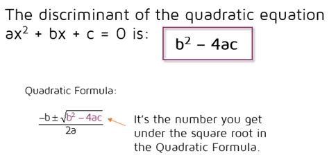 The Quadratic Formula And The Discriminant Worksheet - Escolagersonalvesgui