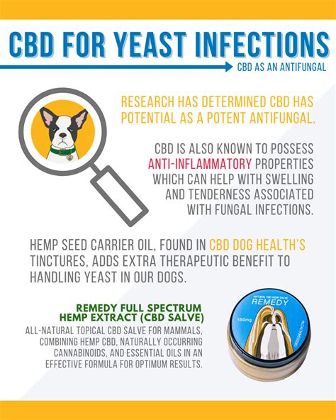 How Do You Treat A Yeast Infection In Dogs