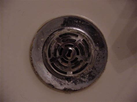 Shower drain cover removal