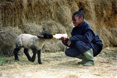 Farms for City Children | Countryside Classroom