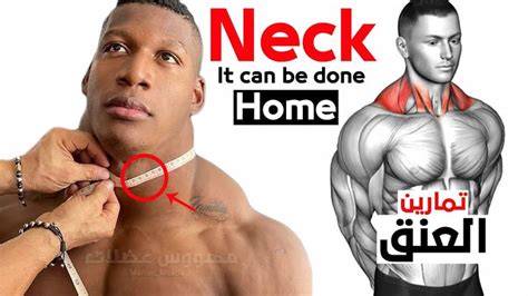 9 Best Exercise Neck Workout | Trapezius workout, Abs workout gym, Neck ...