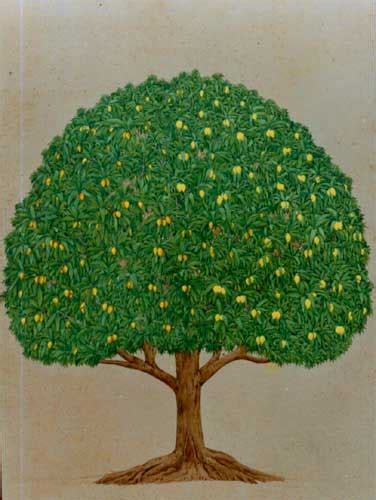 Mango Tree Painting at PaintingValley.com | Explore collection of Mango Tree Painting