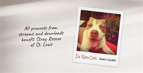 Stray Rescue of St. Louis - Home