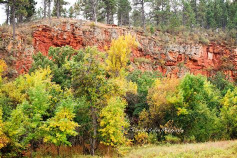 Custer State Park, South Dakota on Behance