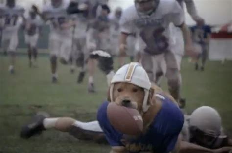 Best Football Movies For Kids & Families