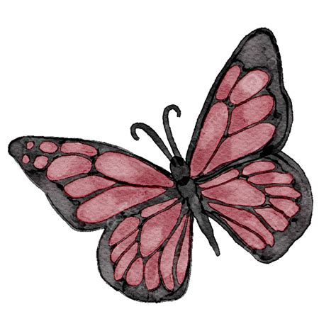 Watercolor Paper Texture White Transparent, Watercolor Butterfly With ...