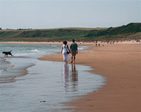 Unmissable Beaches on the North East 250 - Best Beaches in ...