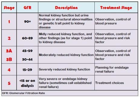 CKD Stages | CKD Causes | CKD Doctor in Hyderabad