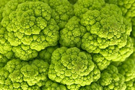 Green Cauliflower Macro | Macro photo of a green cauliflower… | Flickr