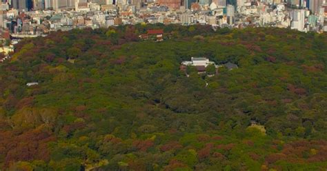 The Meiji Jingu Shrine – SUGi