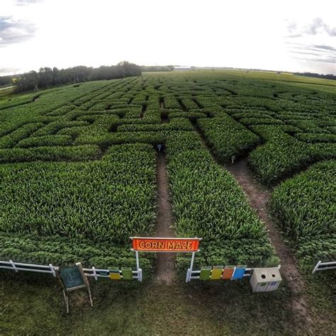 Edmonton Corn Maze to Open for Summer 2020 on July 28 | To Do Canada