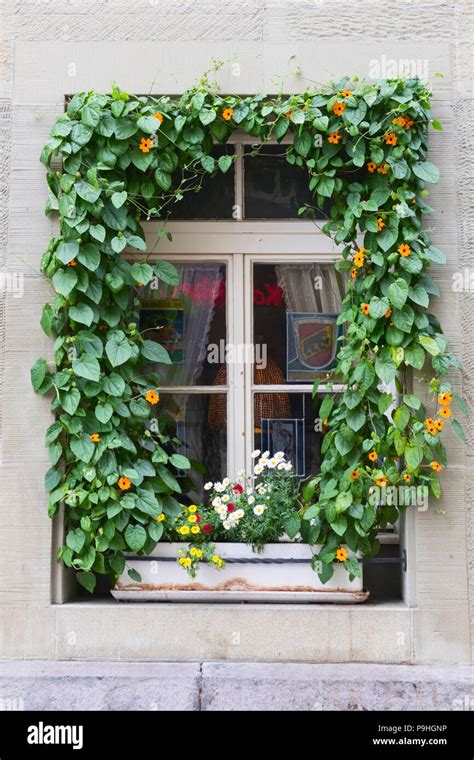 Bern altstadt detail hi-res stock photography and images - Alamy