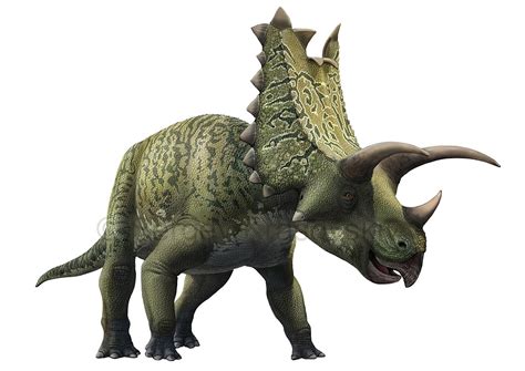 Pentaceratops sternbergii by atrox1 on DeviantArt