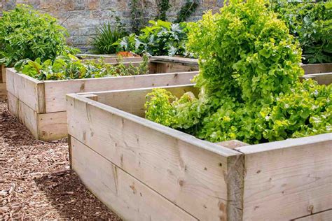 Proper Wood Thickness For Raised Garden Beds – Thriving Yard