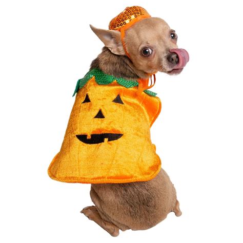 Pet Krewe Pumpkin Dog Costume | BaxterBoo