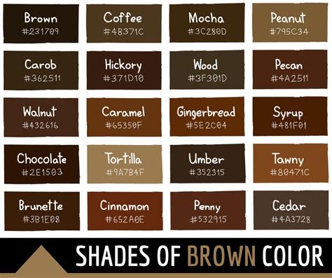 Brown Color Palette Hex Code, Colour Pallette, Color Combos, Brown Color Names, Dark Brown Color ...