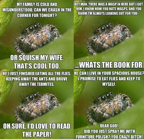 Spiders | Spiders funny, Bones funny, Spider