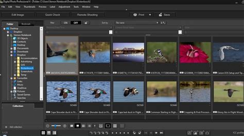 The best free photo editing software in 2024 | Digital Camera World