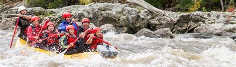 French Broad River Rafting: Half-Day | Nantahala Outdoor Center