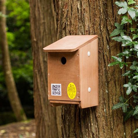 Tree Sparrow Nest Box | The Nestbox Company