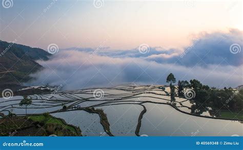 Terrace in sunrise stock photo. Image of farm, plant - 40569348