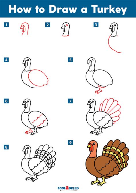 How to Draw a Turkey - Cool2bKids