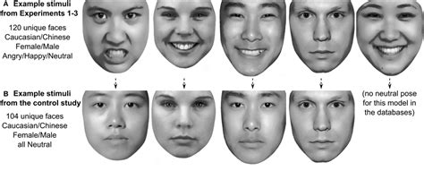 Types Of Angry Facial Expressions - Design Talk