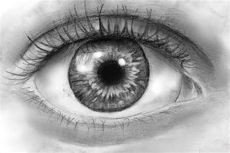 how to draw: How to Draw an Eye in Pencil